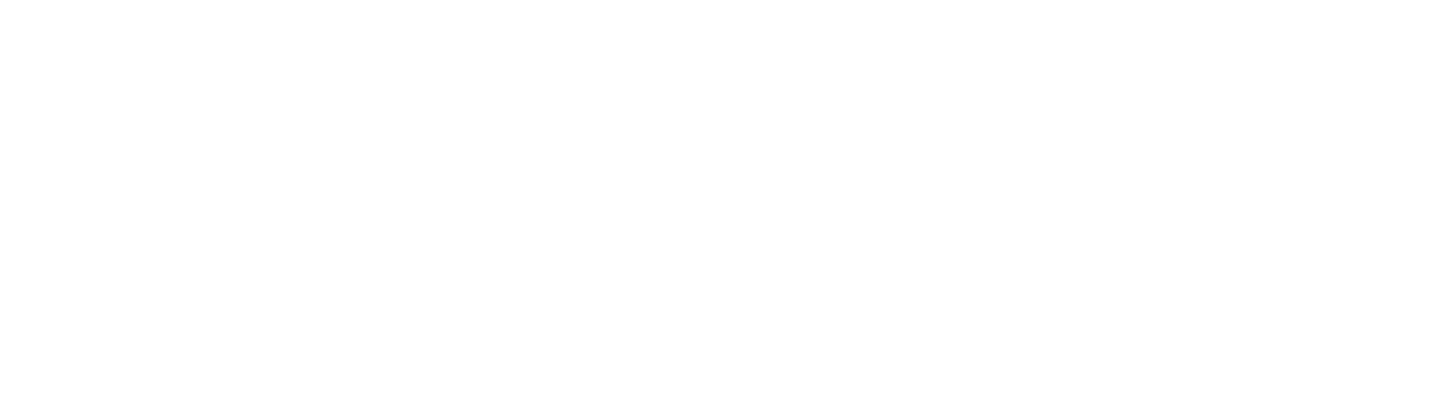 Main Logo